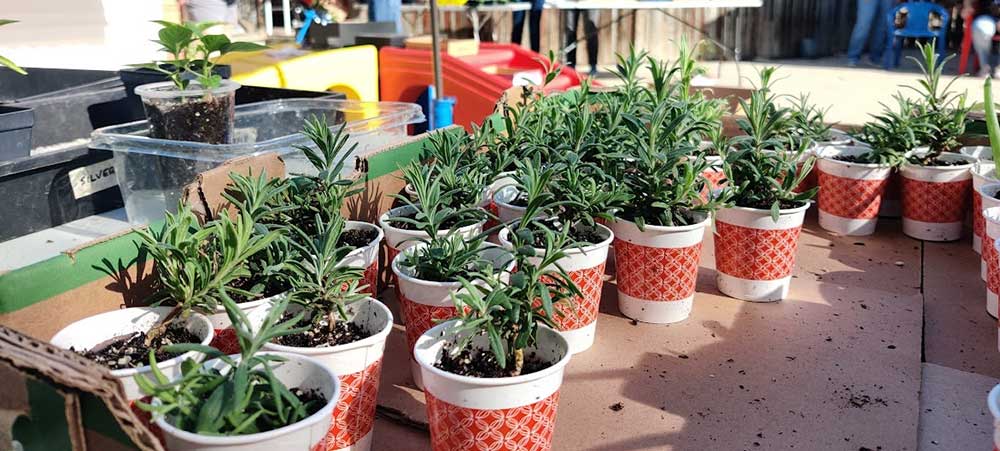 2026 LFFAC flower and garden fundraising event.