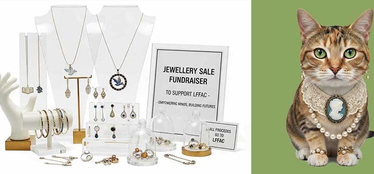 2026 LFFAC jewelry fundraising event.