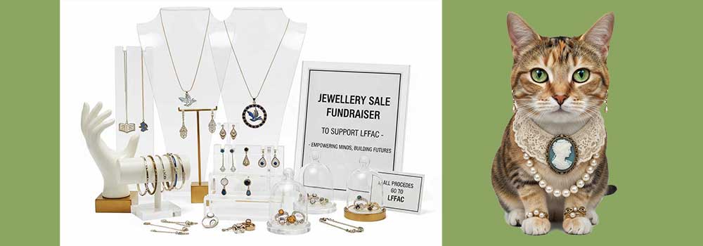 2026 LFFAC jewelry fundraising event.