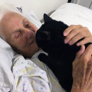 LFFAC Non-profit Feral Cat TNR Organization