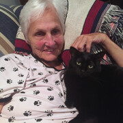 LFFAC Non-profit Feral Cat TNR Organization