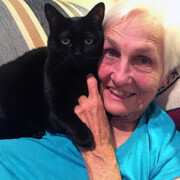 LFFAC Non-profit Feral Cat TNR Organization