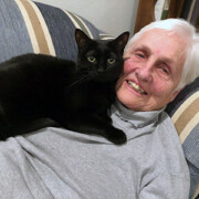 LFFAC Non-profit Feral Cat TNR Organization