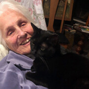 LFFAC Non-profit Feral Cat TNR Organization