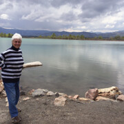 LFFAC Non-profit Feral Cat TNR Organization