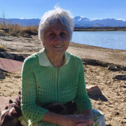 LFFAC Non-profit Feral Cat TNR Organization