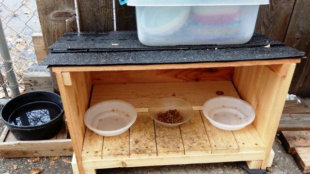 Longmont Friends of Feral & Abandoned Cats