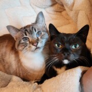 Pip & Jade